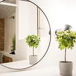 Spacious In Mitte For 6 Berlin